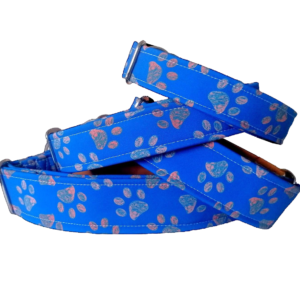 Zuppo Paws Curry Blue