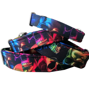 Zuppo Skull rainbow