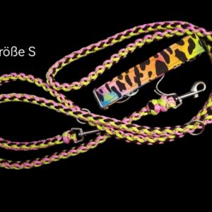 Zuppo Paracordleinen Set Rainbow Leo Größe S